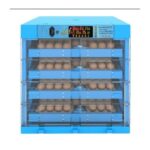 Automatic Ac/Dc Incubators 256 eggs